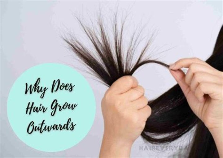 9+ Breathtaking Does Hair Grow Back Quicker After Cutting It