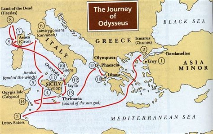 A Journey Through His Film Odyssey
