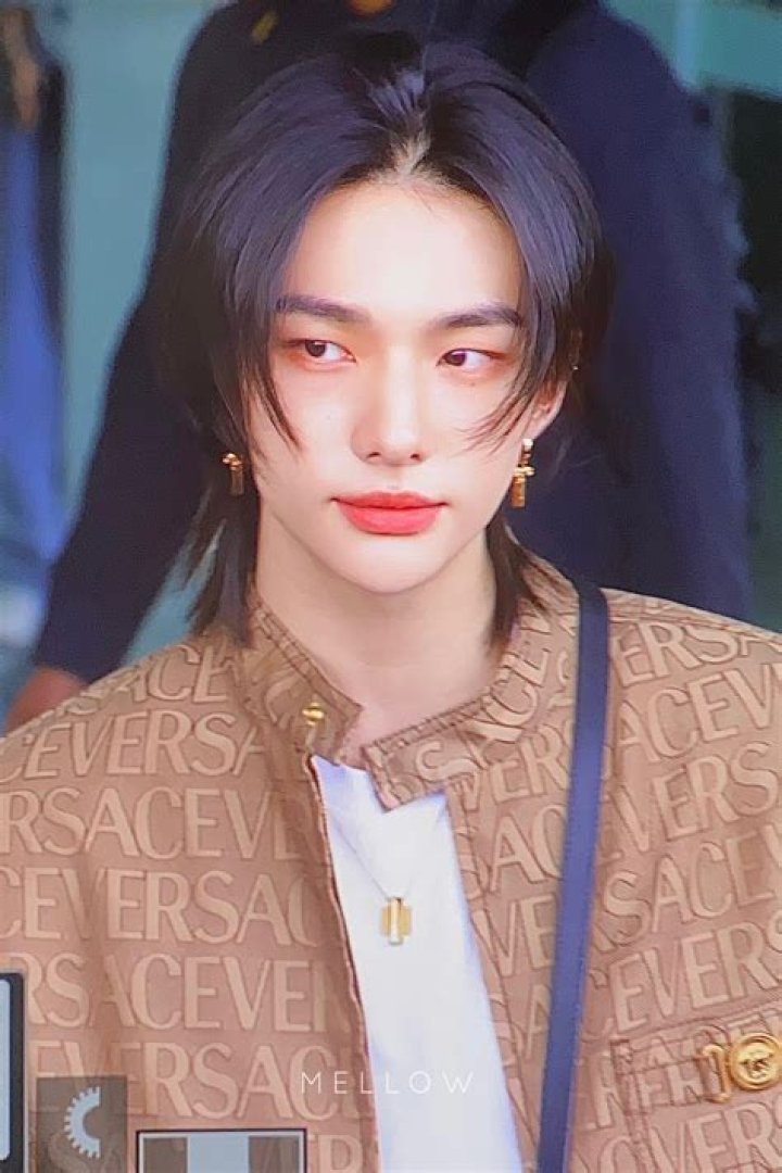 Did Hyunjin Depart From SKZ In 2023?