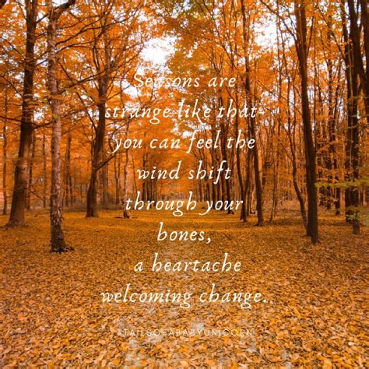 fall quote by poet ka&rsquo;ala, instagram handle aloha kaala