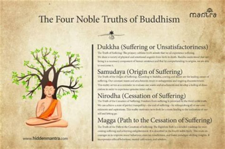 Hidden Truths And Fascinating Insights