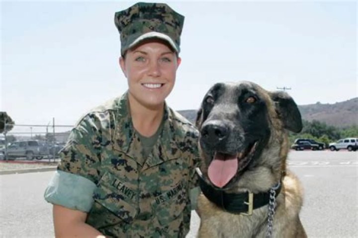 Megan Leavey And Matt Morales' Journey Of Love And Service