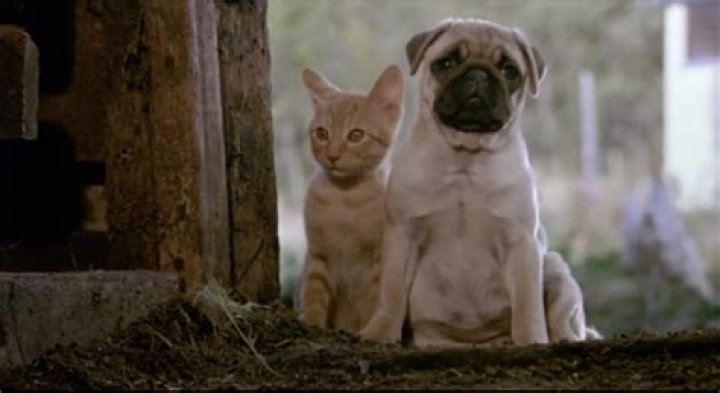 Milo and Otis Animal Abuse Controversy and Scandal explained