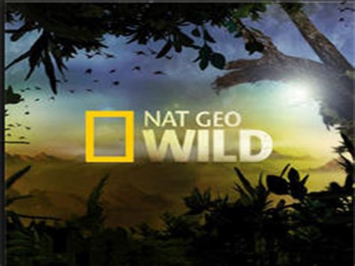 Nat Geo greenlights 2nd season of 'Life Below Zero First Alaskans