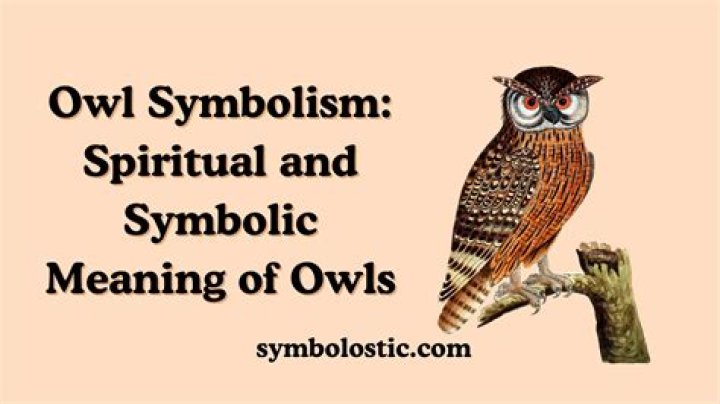 Owl Symbolism & Spiritual Meanings Around the World