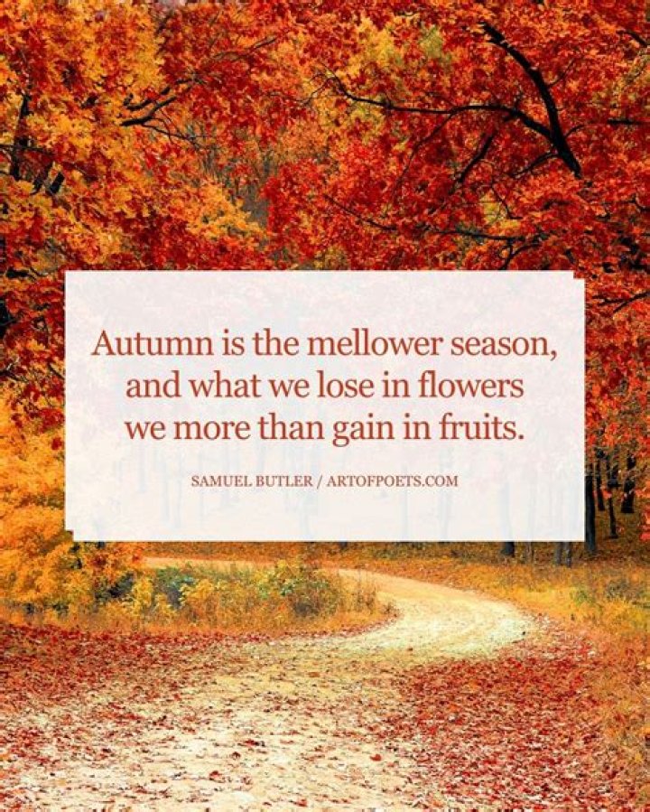 quote from the autumn by elizabeth barrett browning