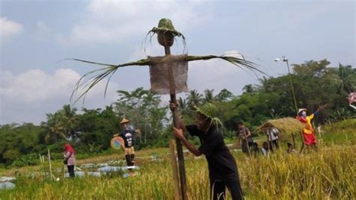 Rahasia Dibalik 