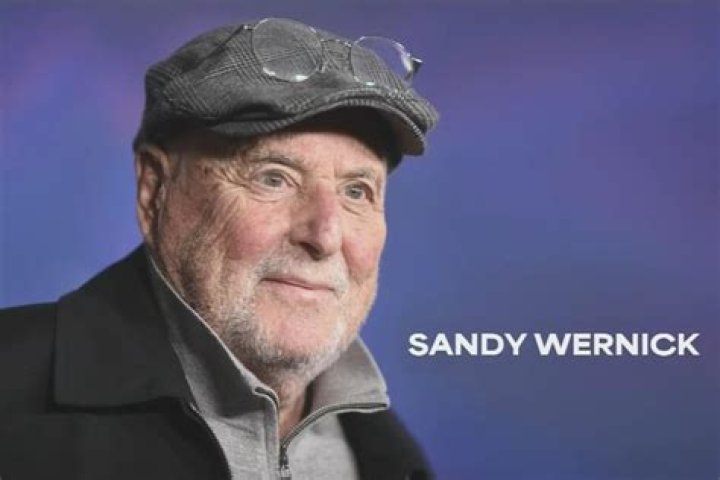 Sandy Wernick's Vision For Education