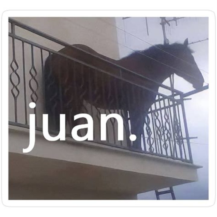 Sarah And The Horse Juan