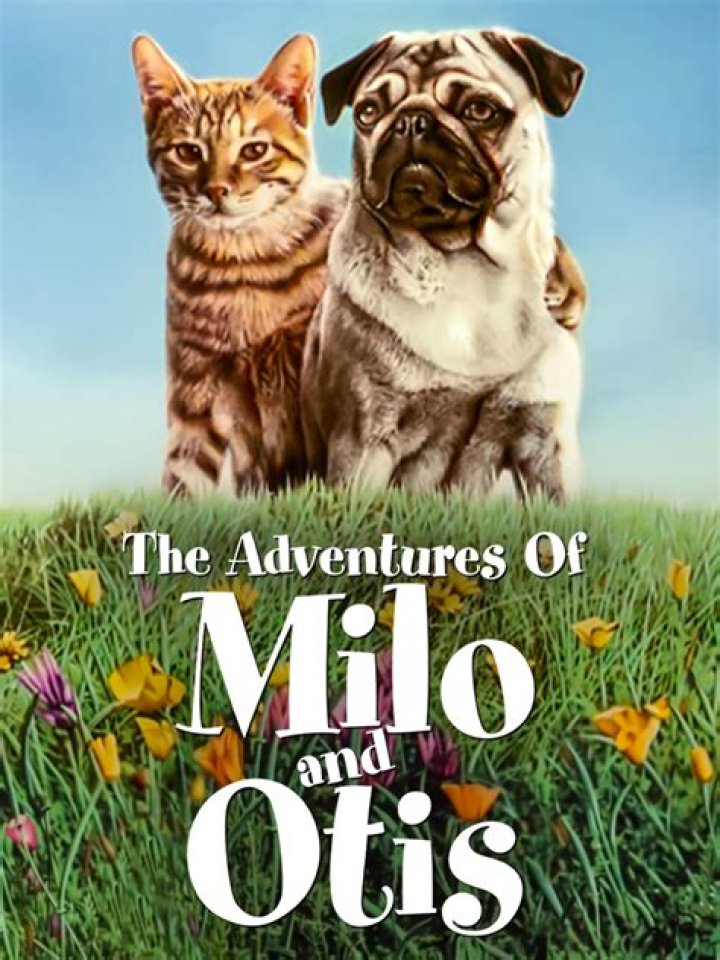 The Milo And Otis Scandal Revisited