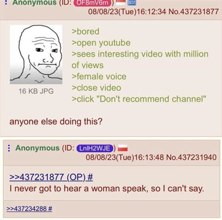 to r/4chan