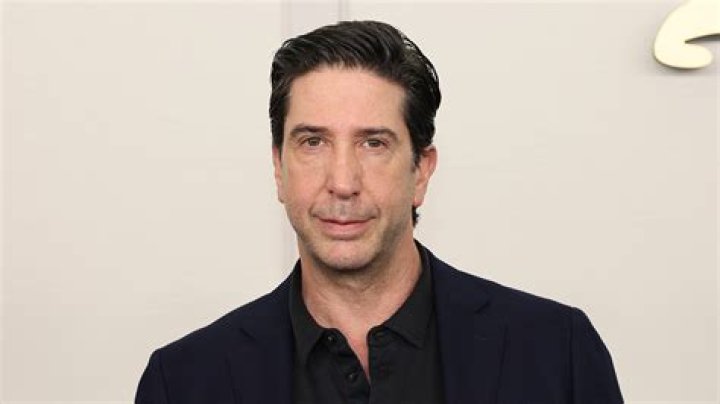 Uncover David Schwimmer's Ethnicity: Discoveries And Insights Await