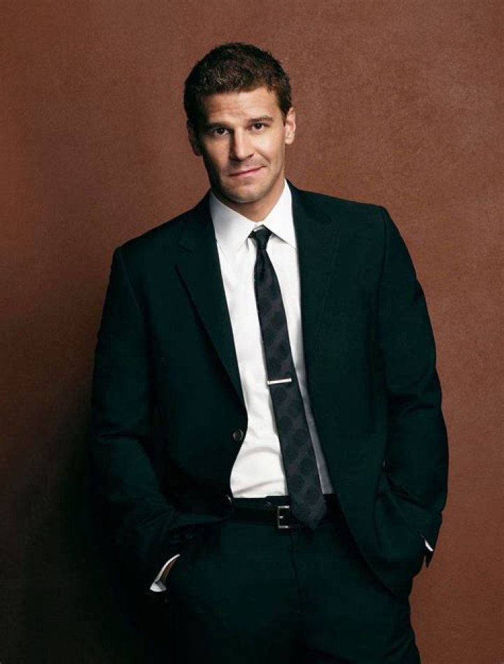 Uncover The Secrets Of David Boreanaz's Education