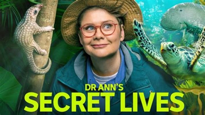 Unveil The Secrets Of 