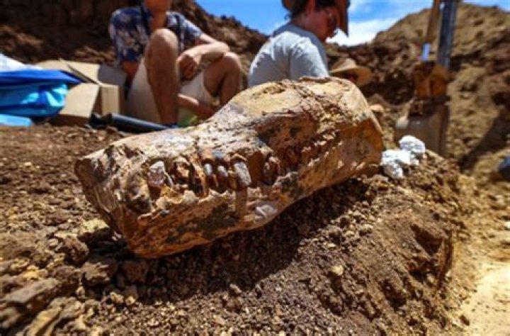 Unveiling 