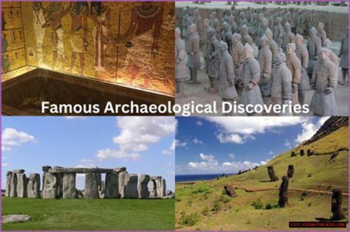 Unveiling The World Of Dorit Kemsley: Discoveries And Insights