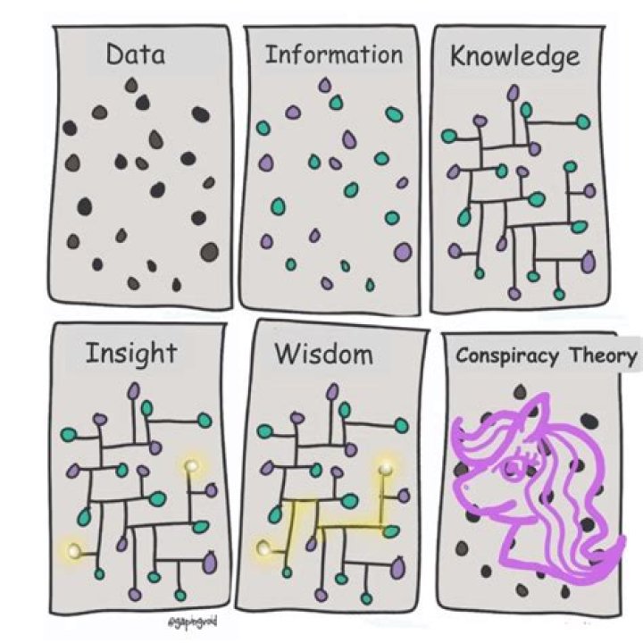Wisdom and Insight