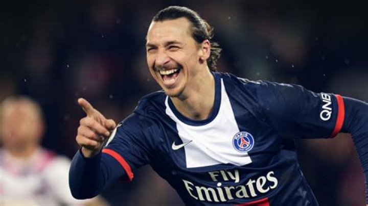 Zlatan Ibrahimovic's WAG Helena Seger Daily Star